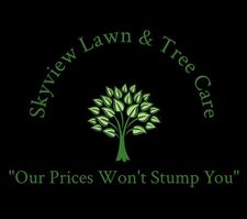 Avatar for Skyview lawn and tree care - Home Facebook
