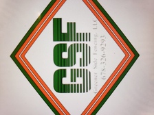 Logo for Greener Side Fencing LLC