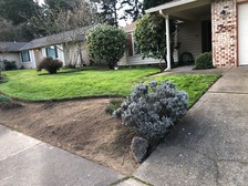 Torres Landscape Maintenance logo