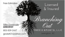 Logo for Branching Out Tree Experts, LLC