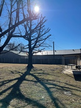 Avatar for Lucho Tree Service