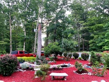 Avatar for Tropical Green Landscapes - Product/Service - Easton, Pennsylvania  Facebook - 17 Photos