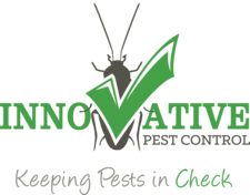 Logo for Innovative Pest Control