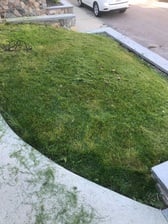 Bailey's Lawn Care Services logo