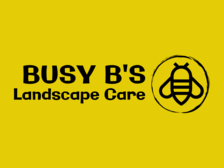 Busy B's Landscape Care, LLC logo