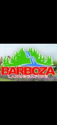 Barboza Landscaping logo