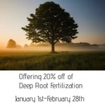20% Off