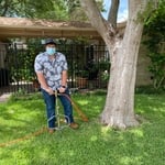 Treating Sick Trees