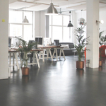 Office Cleaning