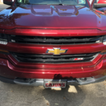 Baby birds in front Grill of truck