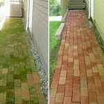 Back Patio Walkway