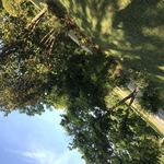 Twigg Lawn
