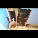 pipe off