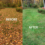 Fall Clean-up