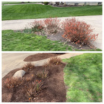 Clean-up & Mulch Install