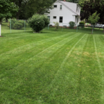 Lawn Mowing