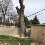 Our work