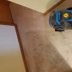 Carpet cleaning