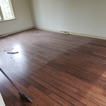 Dusty wooden floor, move in clean