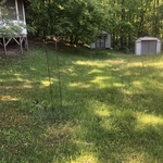 Lawn care