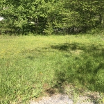 Lawn care
