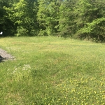 Lawn care