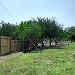 Fence Line
