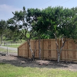 Fence Line