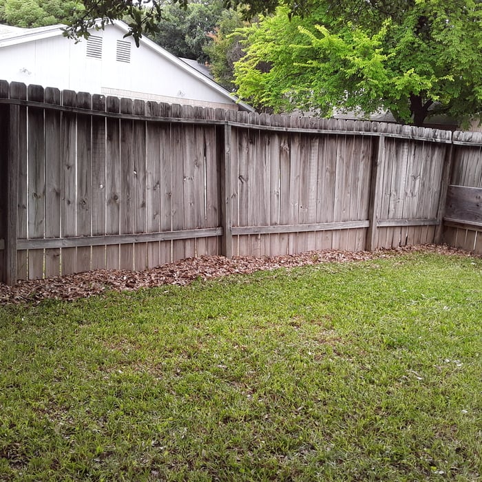 Mow and Leaf removal