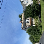 New plywood roofing system