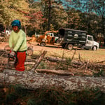 Tree Removal