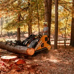 Tree Removal