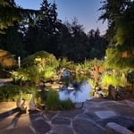Incredible pond