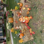 Straw Bales and pumpkins and gourds