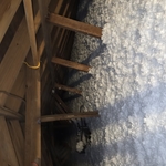 Blown Insulation