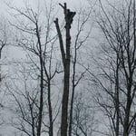 Climbing professionaly