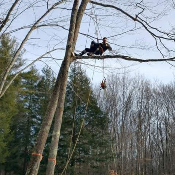 Climbing professionaly
