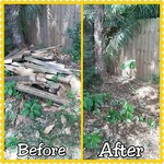 Wood Pile Cleanup