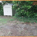 Yard Cleanup