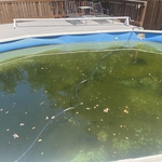Pool Flip