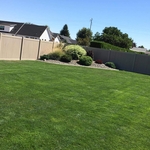 Finished Fence