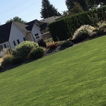 Before Fence