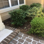 Mulch Install