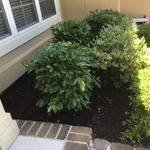 Mulch Install