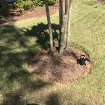 Mulch Install