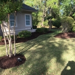 Mulch Install