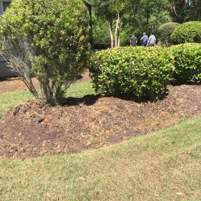 Mulch Install