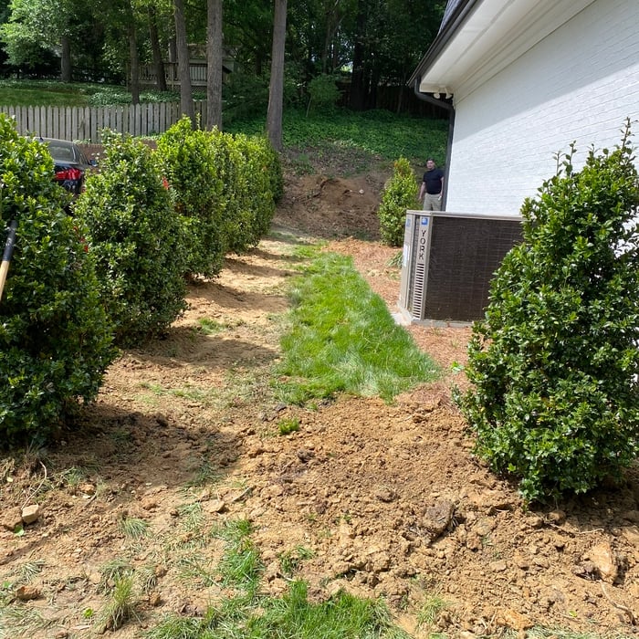 landscaping design