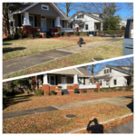 Fall clean up