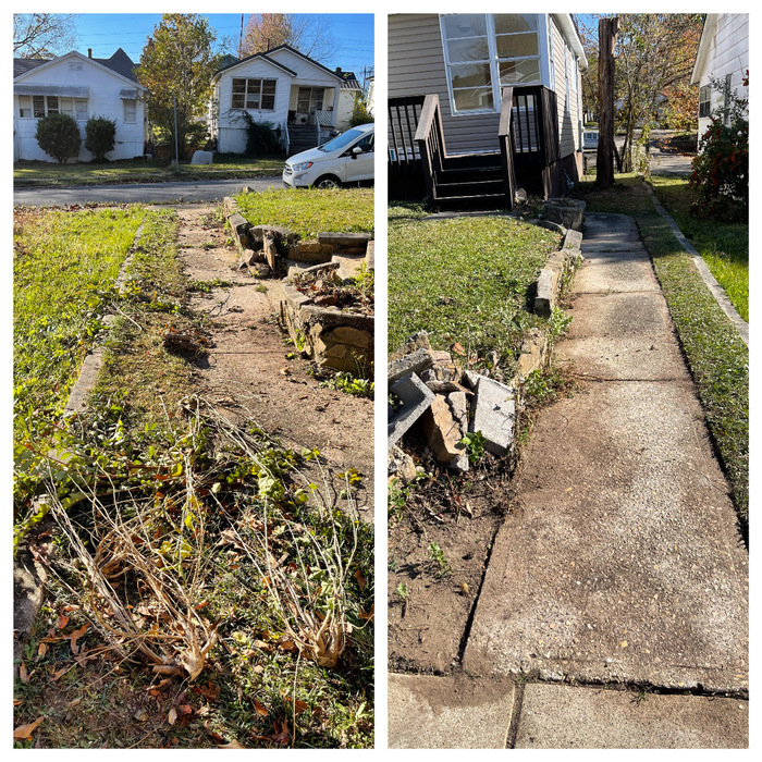 Lawn overhaul